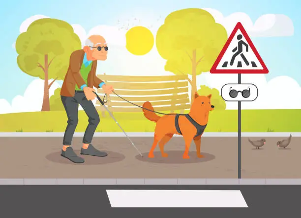 Vector illustration of Blind old man character walking with guide dog on street background