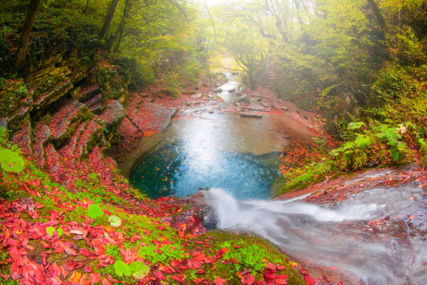Long exposure of the Erfelek Waterfall which belogs to Erfelek district , Sinop / Turkey