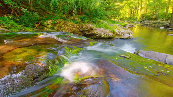 Great Smoky Mountain National Park lwaterfall landscape in creek through green forest in summer in in North Caroline or Tennessee, USA