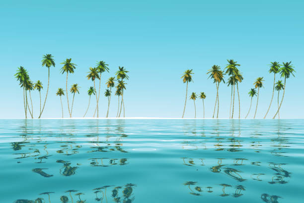 istock coconut island at tropic sea 1414272819
