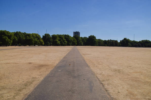A park pathway with green grass and trees on an overcast day in London
