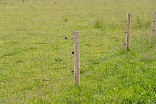 Electrical fence and post in a field.