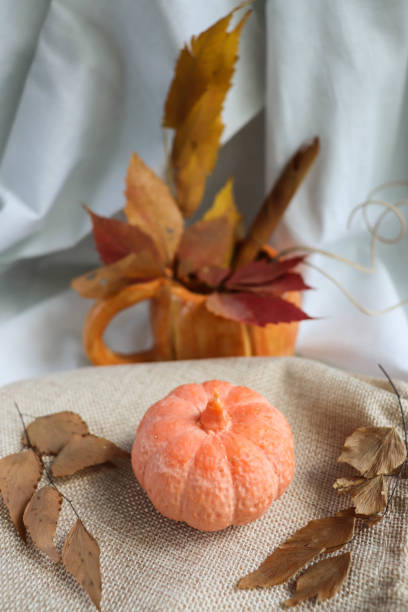 istock pumpkin with autumn leaves 1414282543