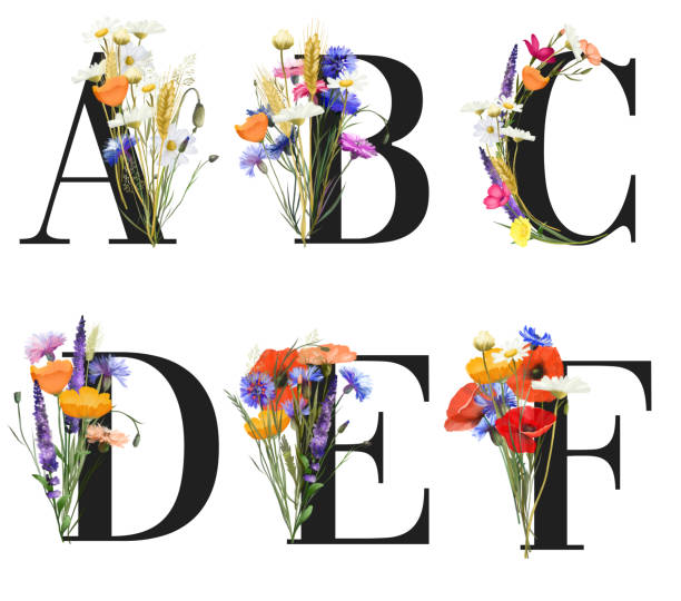 ilustrações de stock, clip art, desenhos animados e ícones de set of floral letters with colorful summer wildflowers (poppies, chamomiles, cornflowers), isolated illustration on white background, for wedding monogram, greeting and business cards, logo - letter o watercolor painting calligraphy alphabet