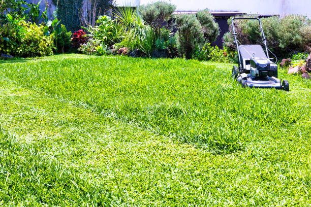 istock Mowing the grass with mowers 1414285091