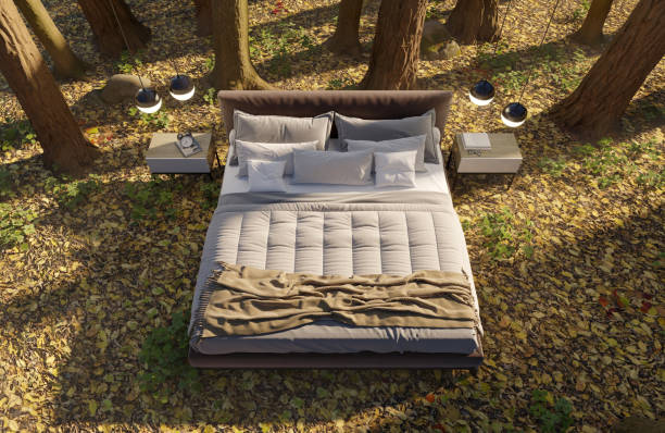istock 3d illustration. A bed in an autumn forest in a clearing among trees. 1414287131