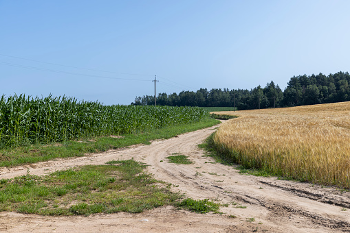 Gravel highway in rural areas , a simple primitive road for the movement of cars