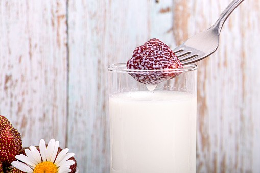 Ripe strawberries in milk. Strawberries on a fork and a glass of milk close-up on a worn wooden background, macro photography