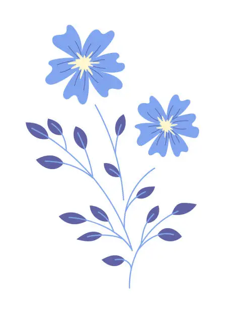 Vector illustration of Flower with blooming bud vector.