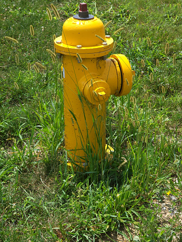 Two modern red fire hydrants in front of an office building.