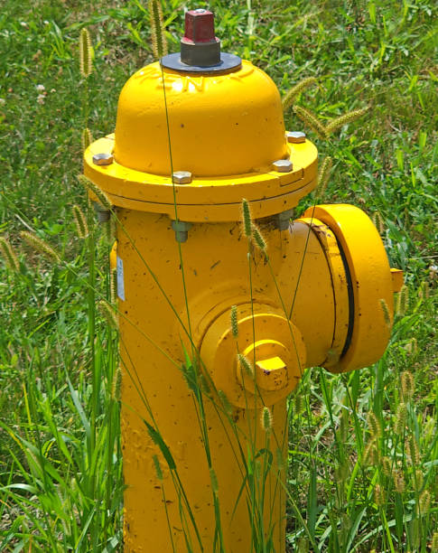 istock Golden Yellow fire hydrant in tall green grass 1414292117