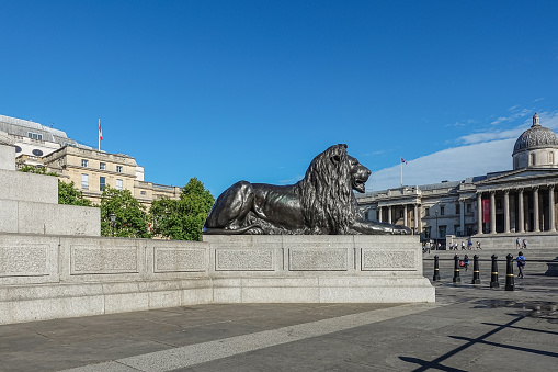 London, UK- July 4, 2022: Trafalgar Square. Black lion statue and National Gallery under blue sky. High Commission of Canada building with flag on the left. Some green foliage.