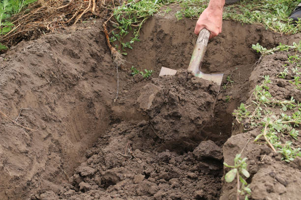 l'uomo scava una fossa profonda. scavare una fossa con la pala. - earth mover working field dirt foto e immagini stock
