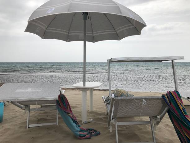 An umbrella And two sunbeds