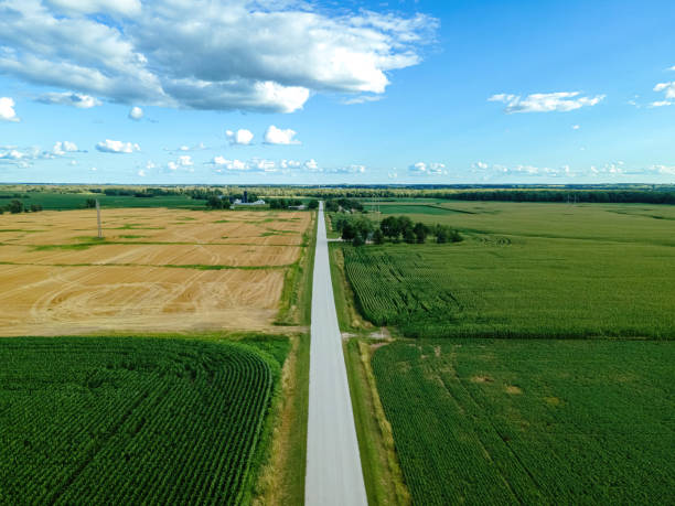 istock Rural Country Road in the Summer 1414305358