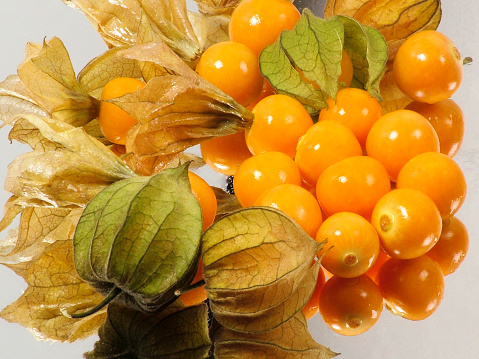 The plant known as uchuva,1 aguaymanto, uvilla or ushun2 (Physalis peruviana L., also known as golden berry) is a herbaceous plant belonging to the Solanaceae family.