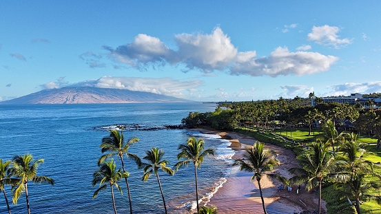 Maui Beach