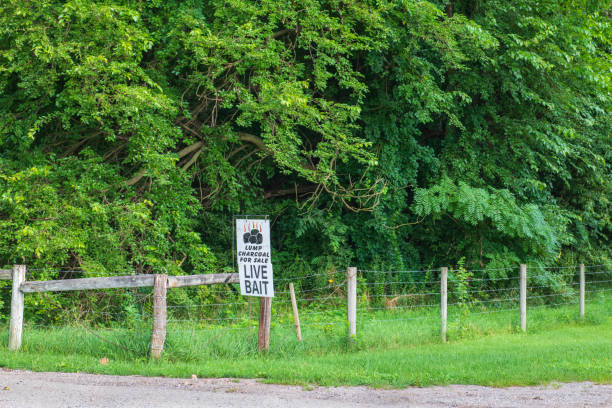 istock Coal and Live Bait Sign 1414308459