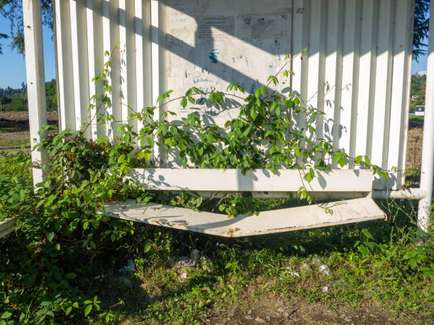Free Stock Photo of Abandoned decaying chair in an urban setting ...
