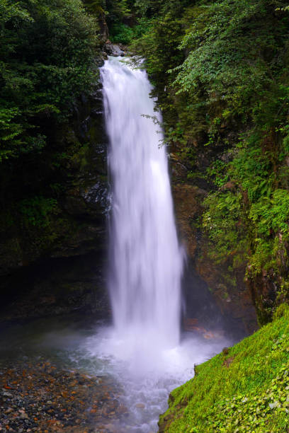 Palovit Waterfall, Rize, TURKEY stock photo