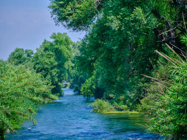 istock beautiful river in the nature 1414315346