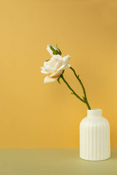 istock a platform for product photography 1414315438