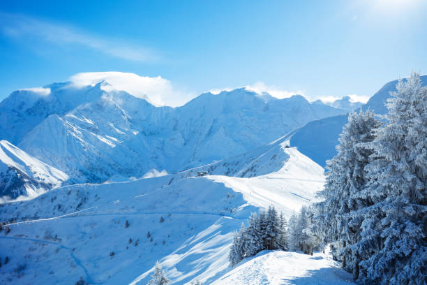 istock Snow covered fir forest after heavy snowfall over Alps mountains 1414317641