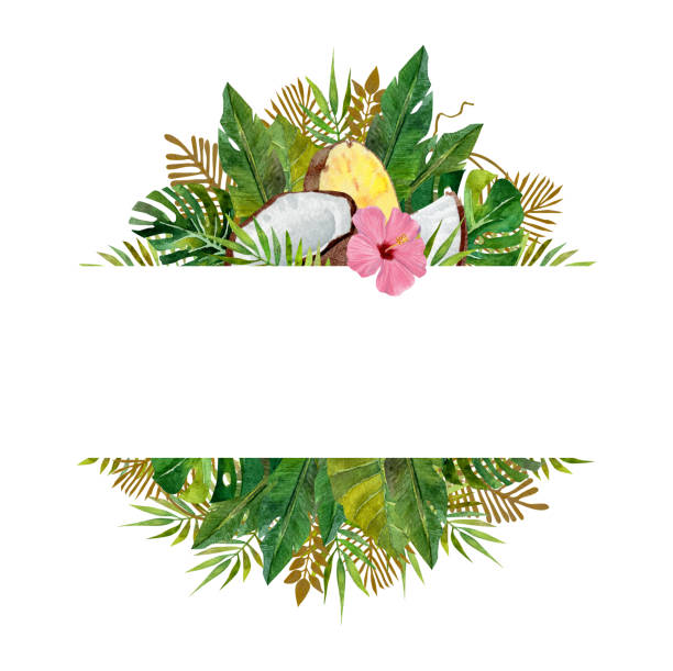 Watercolor frame of tropical leaves and fruits on isolated white background Watercolor frame of tropical leaves and fruits on isolated white background coconut borders stock illustrations