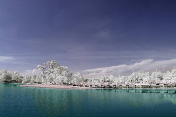 istock Cyberjaya Lakeside in Infrared World 1414326666
