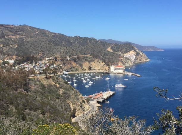 istock Santa Catalina Island, California 1414329817
