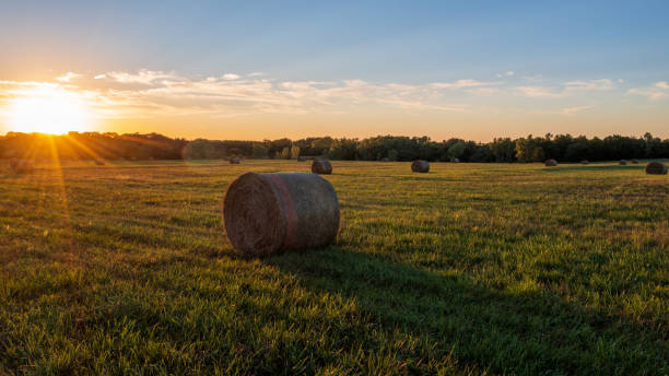 istock Hay Wheel in Grassy Field at Sunset 1414337358