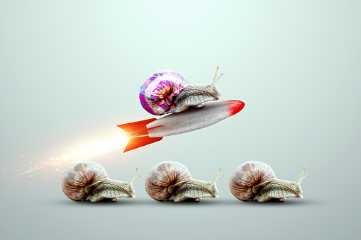 Singularidad, un caracol multicolor despega en un cohete contra el fondo de caracoles. Ventaja competitiva, destacándose entre la multitud, pensando fuera de la caja. Renderizado 3D, ilustración 3D. photo