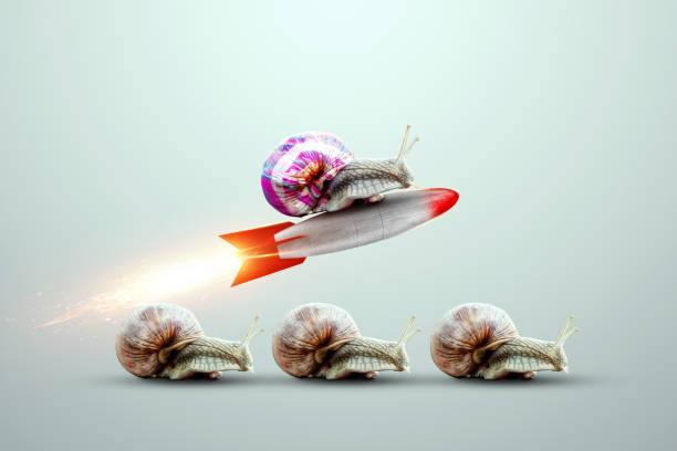 singularidad, un caracol multicolor despega en un cohete contra el fondo de caracoles. ventaja competitiva, destacándose entre la multitud, pensando fuera de la caja. renderizado 3d, ilustración 3d. - personalizado fotografías e imágenes de stock