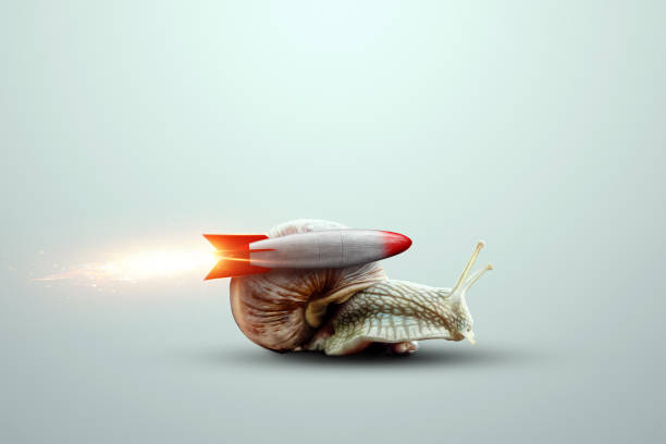 The uniqueness of the creative background, the snail moves on the rocket. Competitive advantage, standing out from the crowd, thinking outside the box. 3D render, 3D illustration