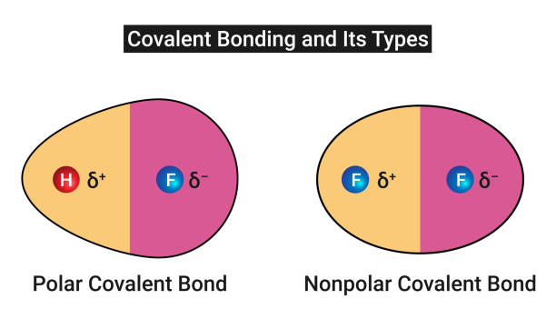 ilustrações, clipart, desenhos animados e ícones de ligação covalente polar e laço coente não polarar - hydrogen bond