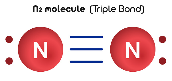 N2 molecule: Least stable type of covalent bonds.