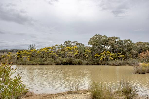 istock Lake at Emmaville, Australia 1414341580