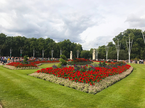 London, UK - 07/21/2019: Red tulips blossom in the Buckingham Palace Memorial Gardens