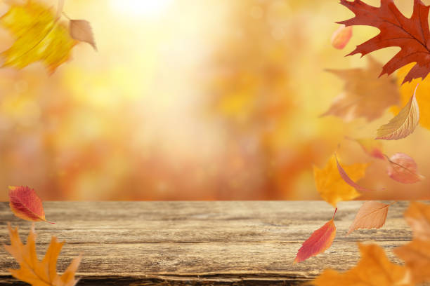 istock Autumn background with flying orange leaves. Copy space 1414352328
