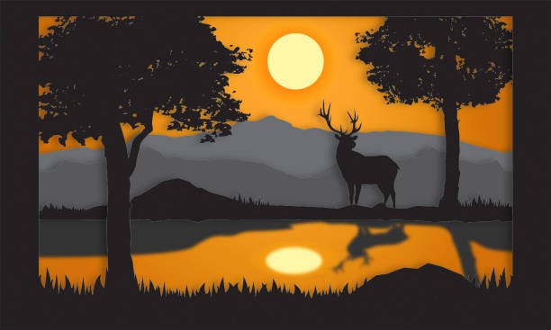 Deer in the forest, mountain view and sunset Silhouette Images.