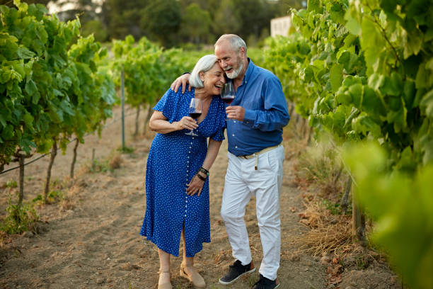 Relaxed seniors pausing to laugh as they tour vineyard Full length view of couple in 60s and 70s walking between rows of grapevines with glasses of red wine at dusk. tourist couple candid travel stock pictures, royalty-free photos & images