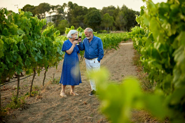 istock Vacationers in 60s and 70s touring vineyard with wine 1414358340