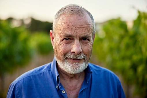 Close view of gray haired man with beard and mustache wearing blue button down shirt, standing in vineyard, and looking at camera with slight smile.