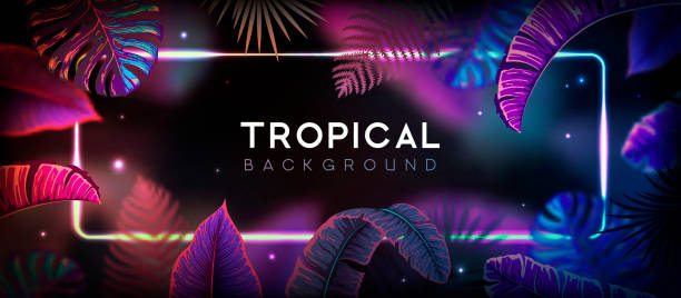 istock Summer background with neon frame and  fluorescent tropic leaves. Nature concept. Vector illustration 1414359837