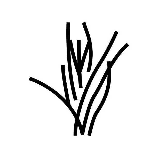 Vector illustration of vallisneria spiralis line icon vector illustration