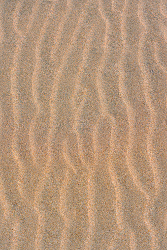 Wind-formed ripples of sand on a beach.