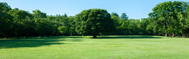 istock banner image of green park 1414377325