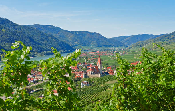 istock Visit to the Wachau 1414378241