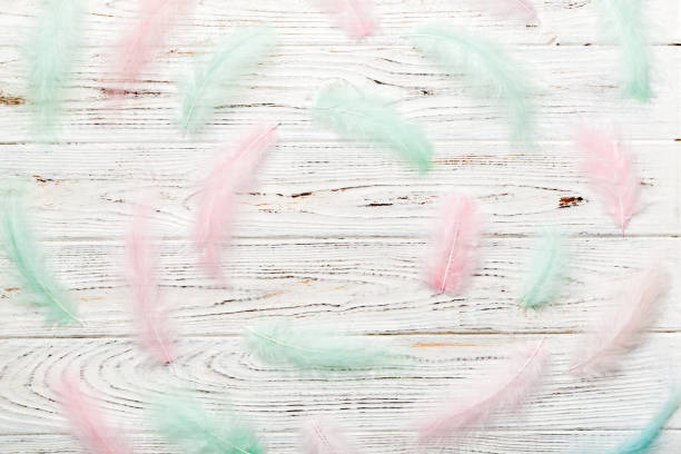 istock Frame of brightly colored dyed bird feathers on Colored background, top view 1414378268
