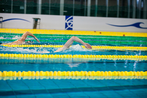 Mid race butterfly stroke swimming race in a olympic size swimingpool.